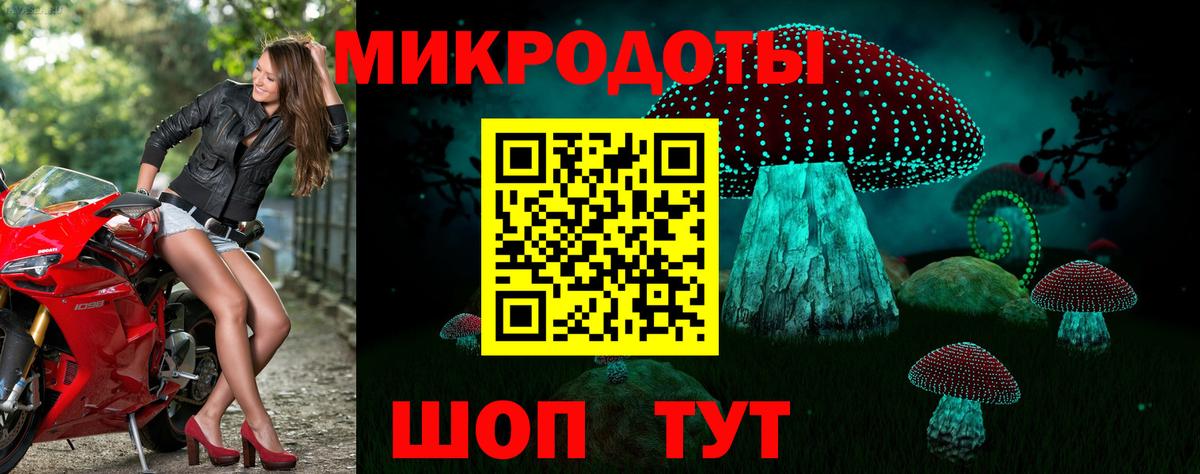Лабинск  Псилоцибиновые грибы прущие грибы  Вход с VPN  Псилоцибиновые грибы Psilocybe 