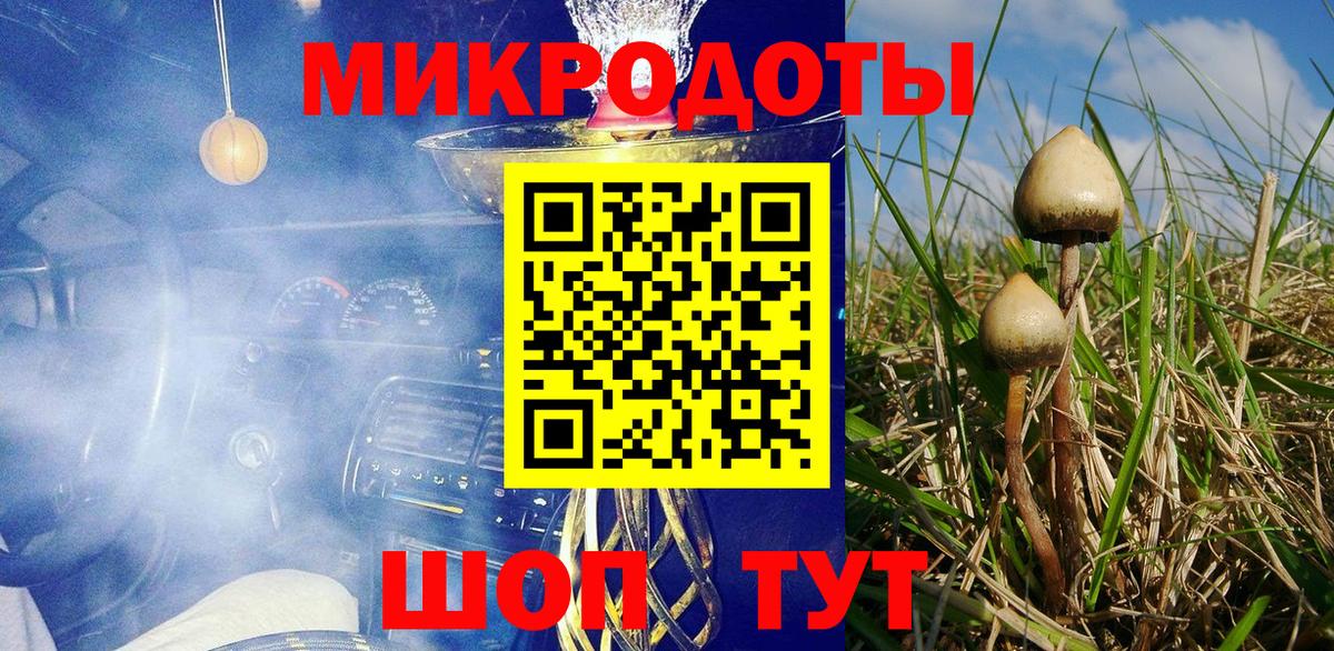 Галлюциногенные грибы прущие грибы Лабинск